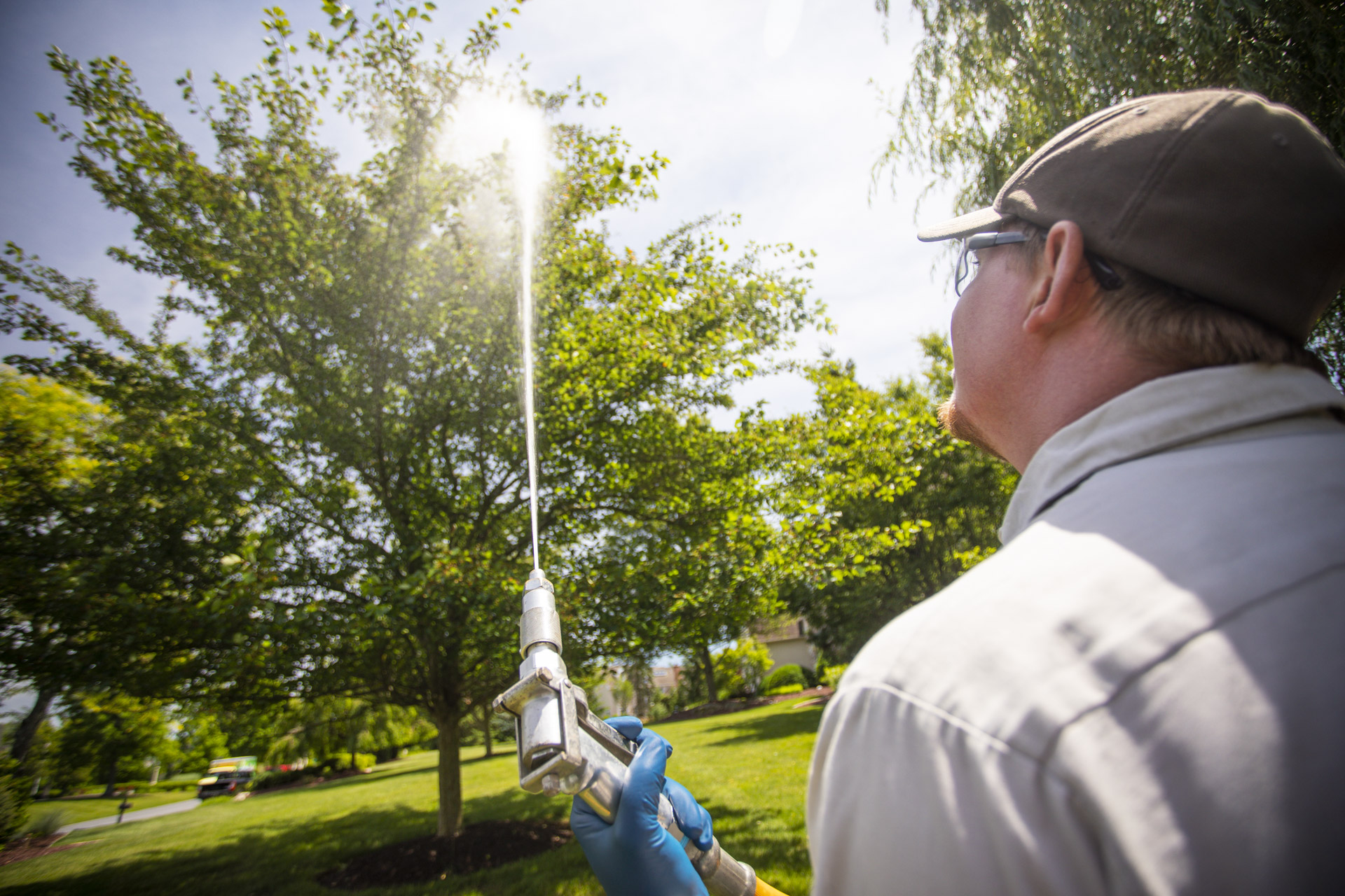 Joshua Tree Experts Tree Care Services Charlotte, NC